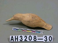 藏品(白鳥)的圖片